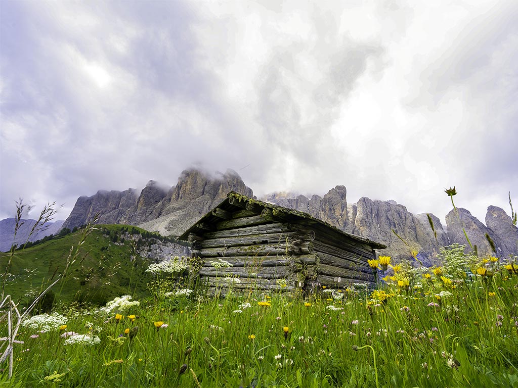 Alpine hut - Passo Gardena in summer