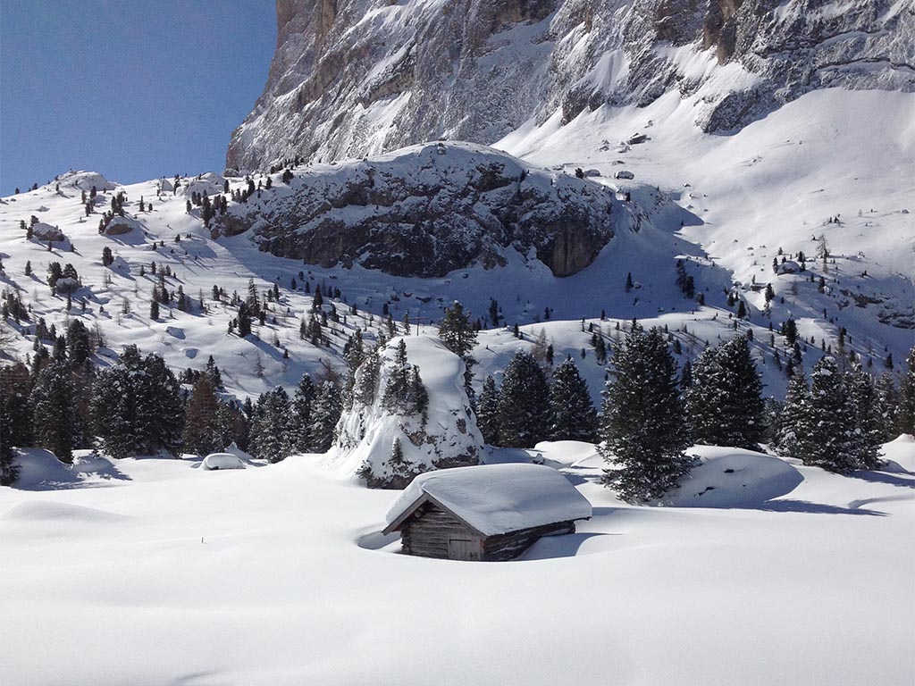 Alpine hut - Val Gardena